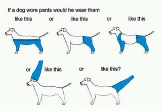 Illustration for article titled Would you rather?